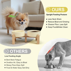 SPUNKYJUNKY gamelles chien elevées en céramique, option 7-3 pouces pour plus d’espace