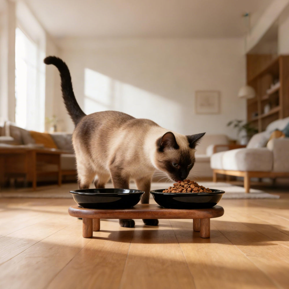 SPUNKYJUNKY scène salon avec chat utilisant le bol élevé.