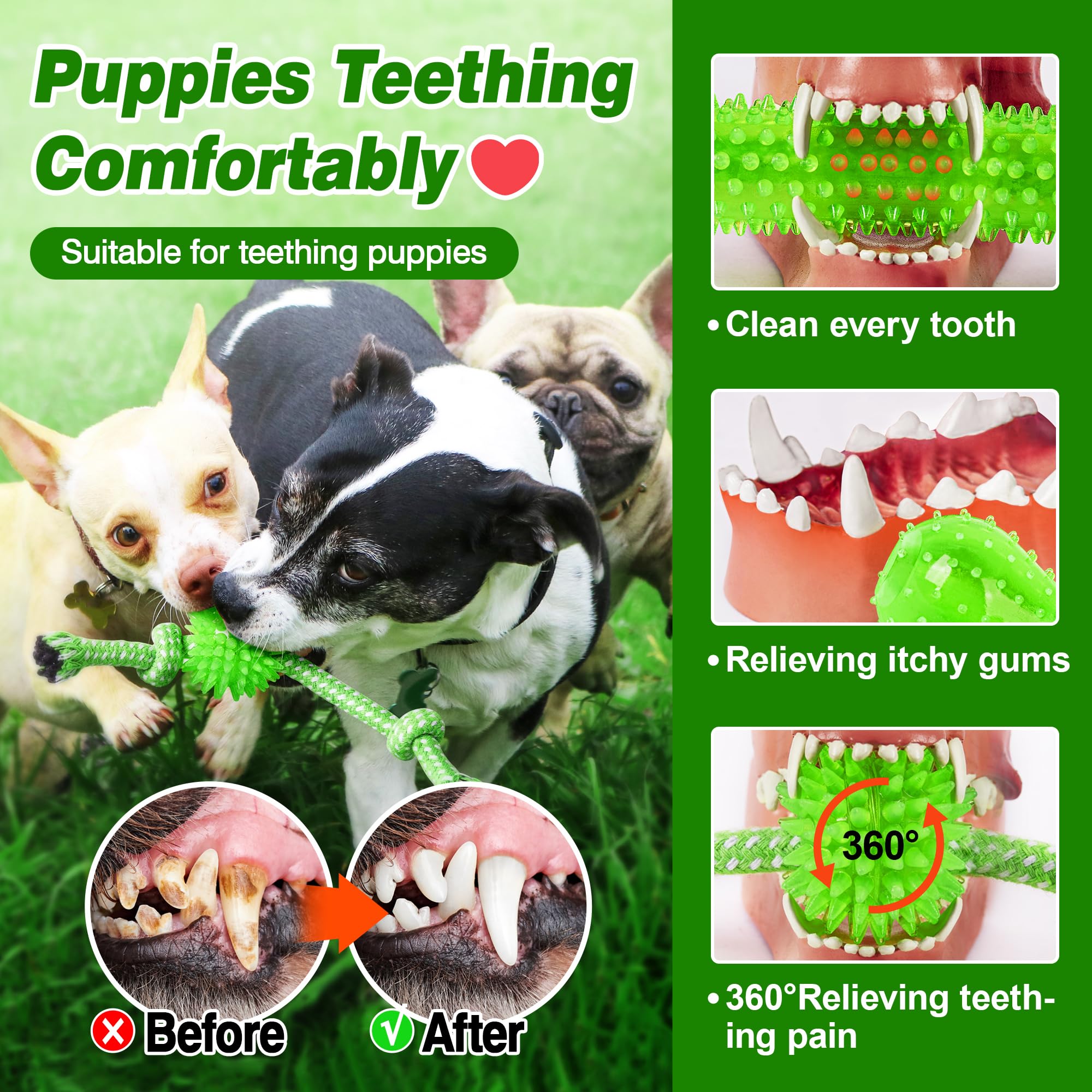 SQBG: jouet durable pour chiens mordeurs agressifs, résistance pour de longues sessions de mordillage.