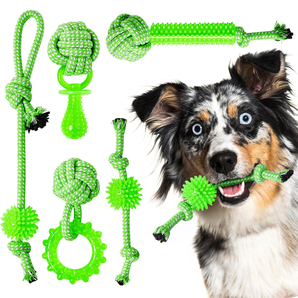 SQBG: aperçu du pack 5 de jouets pour chiots, énergie canalisée et dentition facilitée.