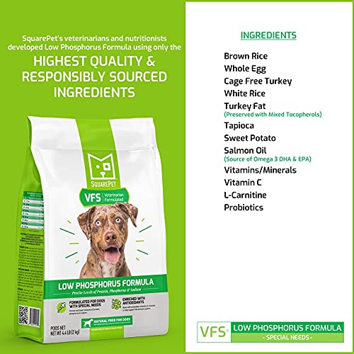 SquarePet VFS antioxydants, vitamine E et C, soutien immunitaire