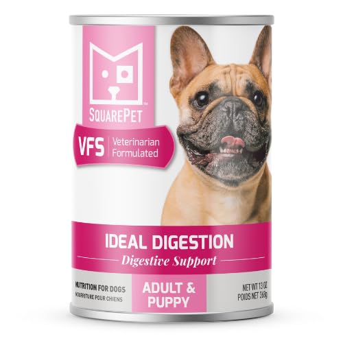 SquarePet VFS Ideal Digestion, boîte de 12, soutien digestif pour estomacs sensibles.