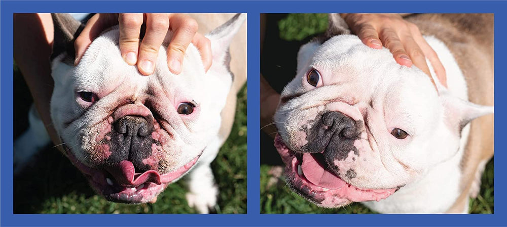Squishface applicateur en silicone, compact et idéal pour les voyages.