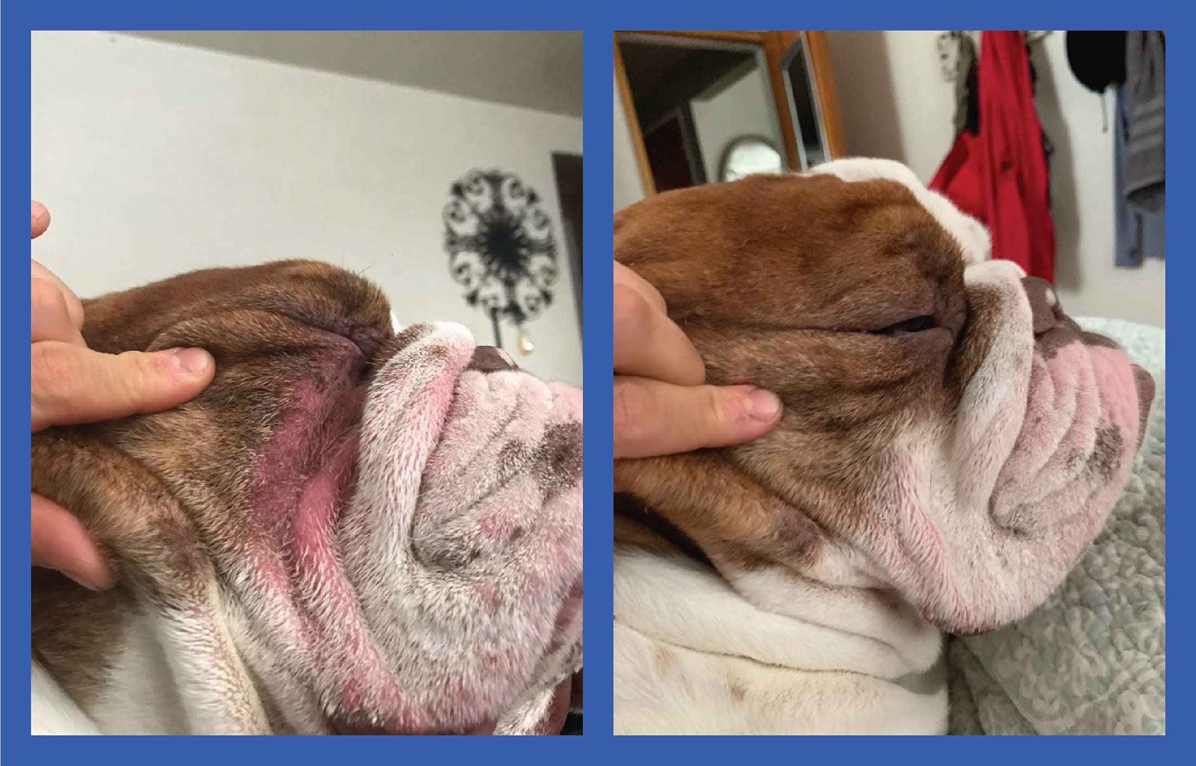 Apaisement grâce au beurre de karité de Squishface Wrinkle Paste.