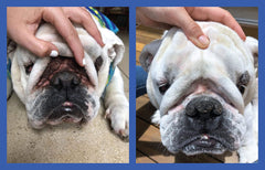 Poches de queue propres grâce à Squishface Wrinkle Paste.