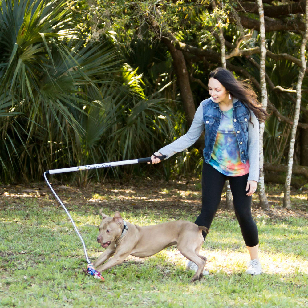 Flirt Pole Squishy Face Studio longueur 36 pouces en action pour l'entraînement et le jeu.
