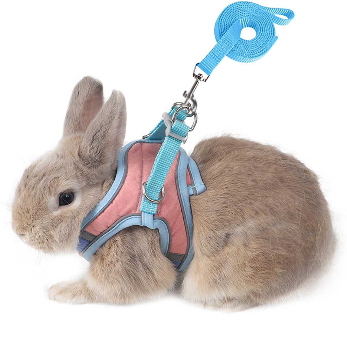 SQUSIMEI harnais lapin ajustable avec boucles réfléchissantes pour visibilité nocturne.
