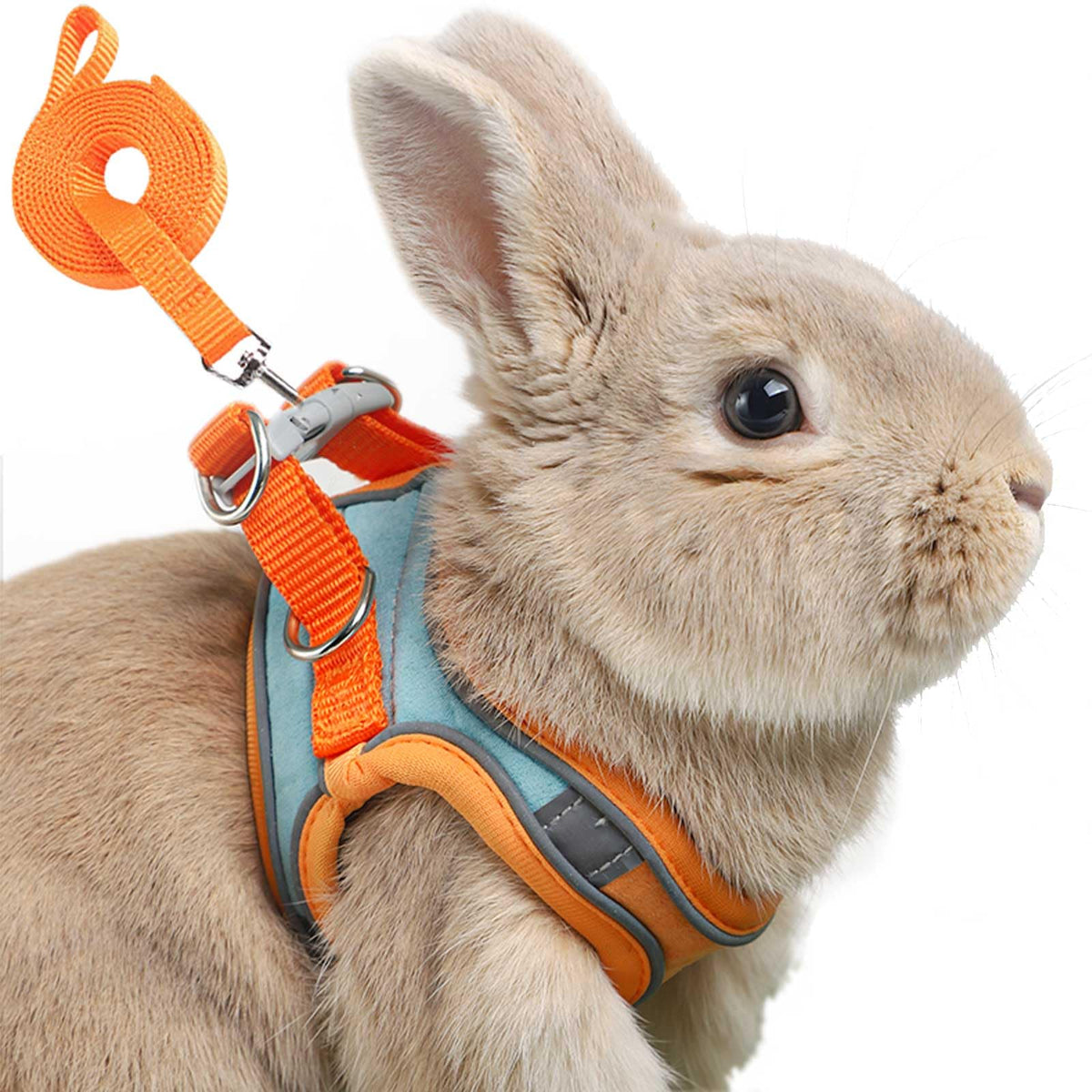 Harnais SQUSIMEI pour lapin avec double boucle et réflectif, sécurité nocturne renforcée.