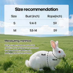 Harnais lapin SQUSIMEI avec velcro et double boucle, ajustement sûr.