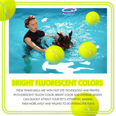 Sratte ballon tennis géant posé sur sol, jeu intérieur pour chien.