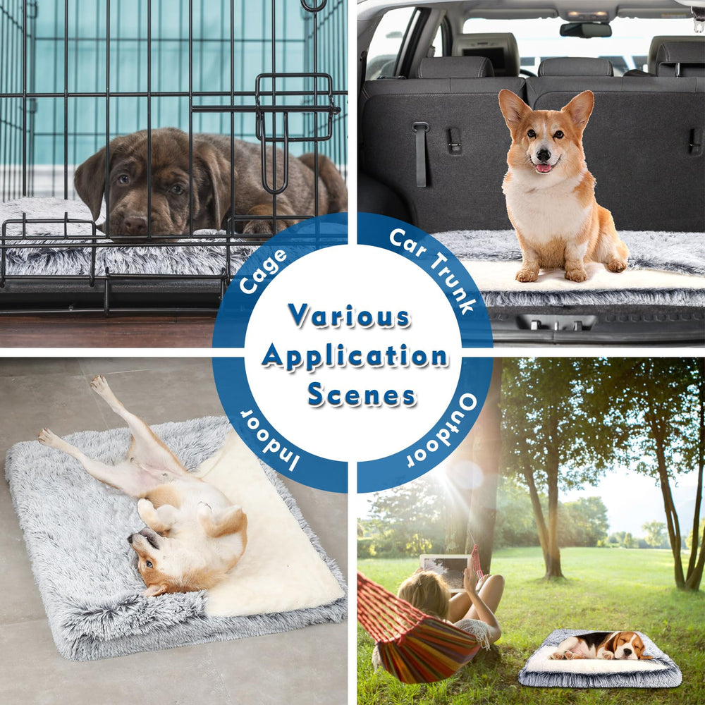 SSAWcasa idéal pour chien et chat pour moments calmes.