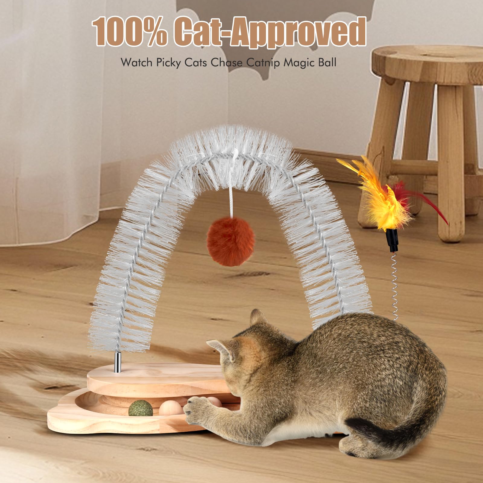 SSAWcasa kit chat d’intérieur idéal pour activité et détente.