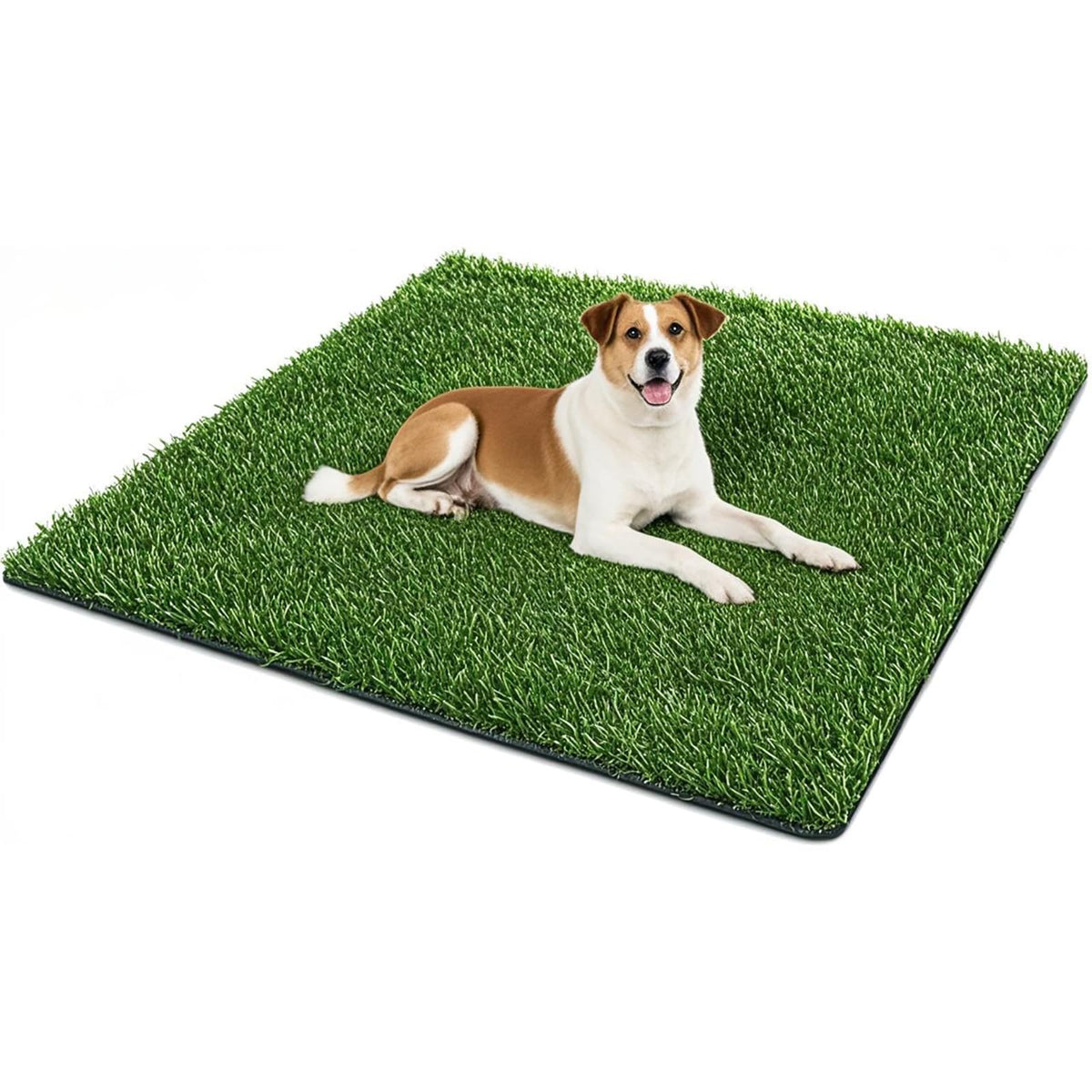 SSRIVER Tapis herbe artificielle pour chien grand-format pour l'entraînement et le jeu