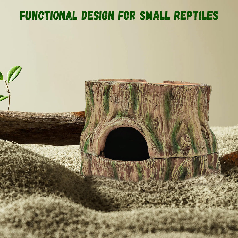 Stackoria accessoire terrarium enrichissant l habitat