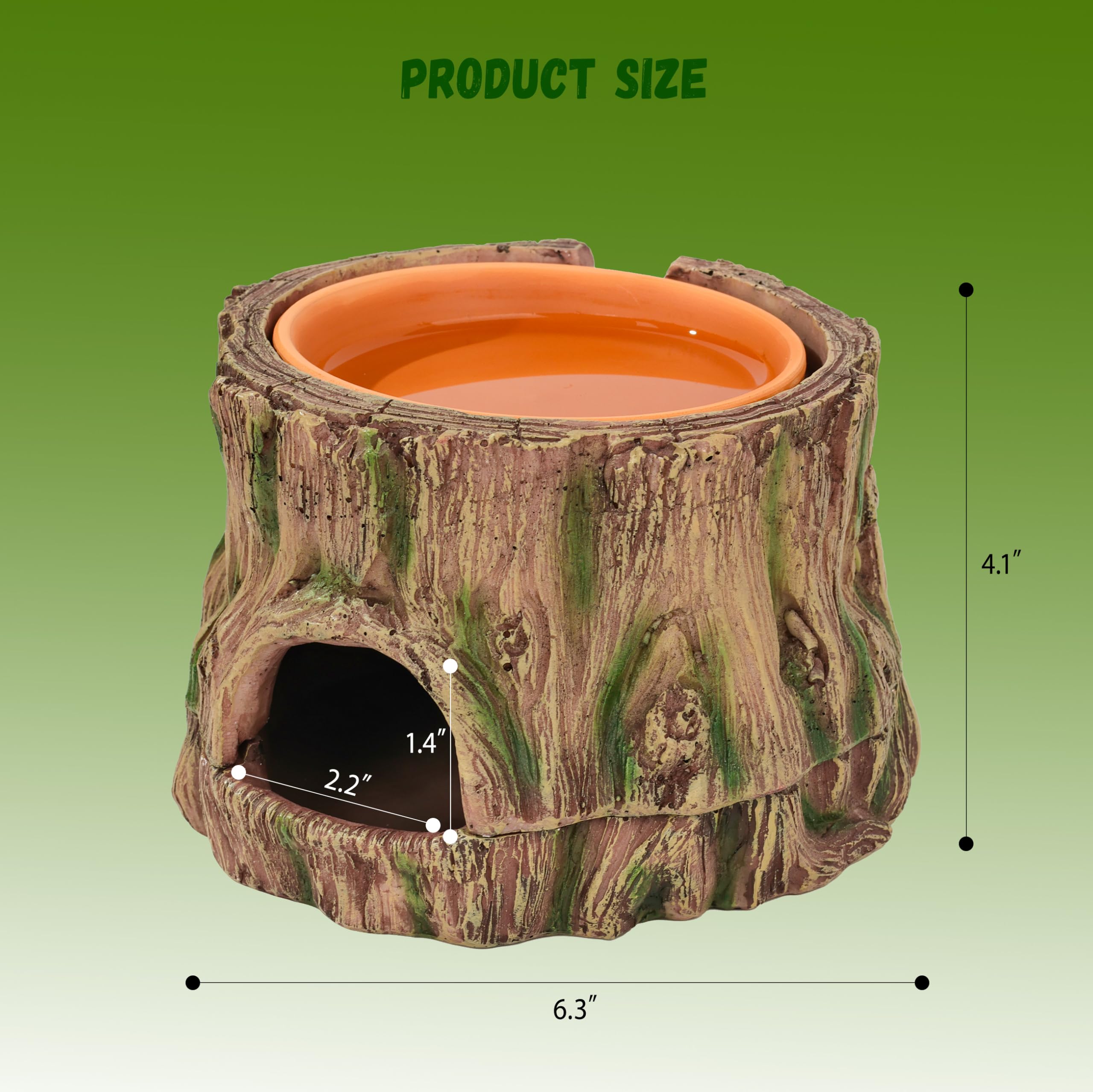 Stackoria bol d eau en argile naturel sur le dessus, humidité durable