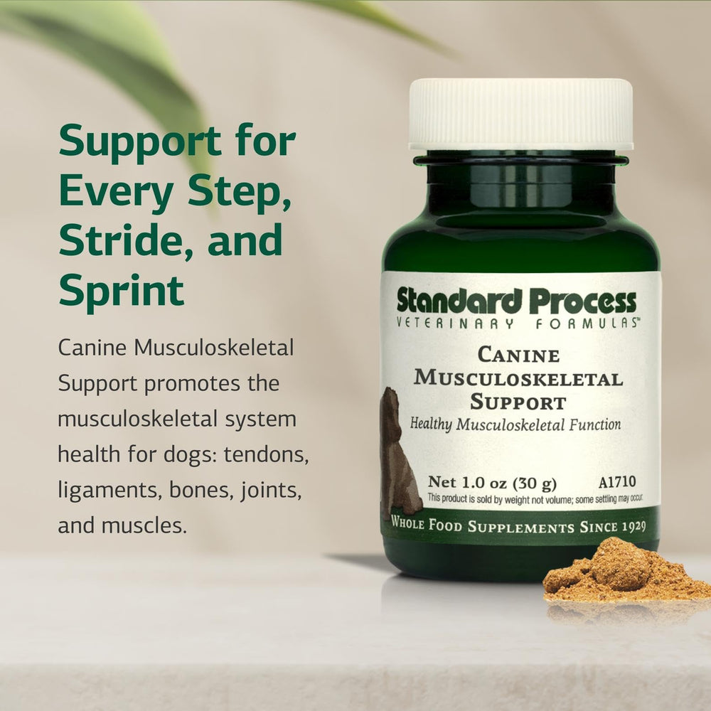 Standard Process Canine Musculoskeletal Support — doseur moyen pour grands flacons, dosage adapté au chien.