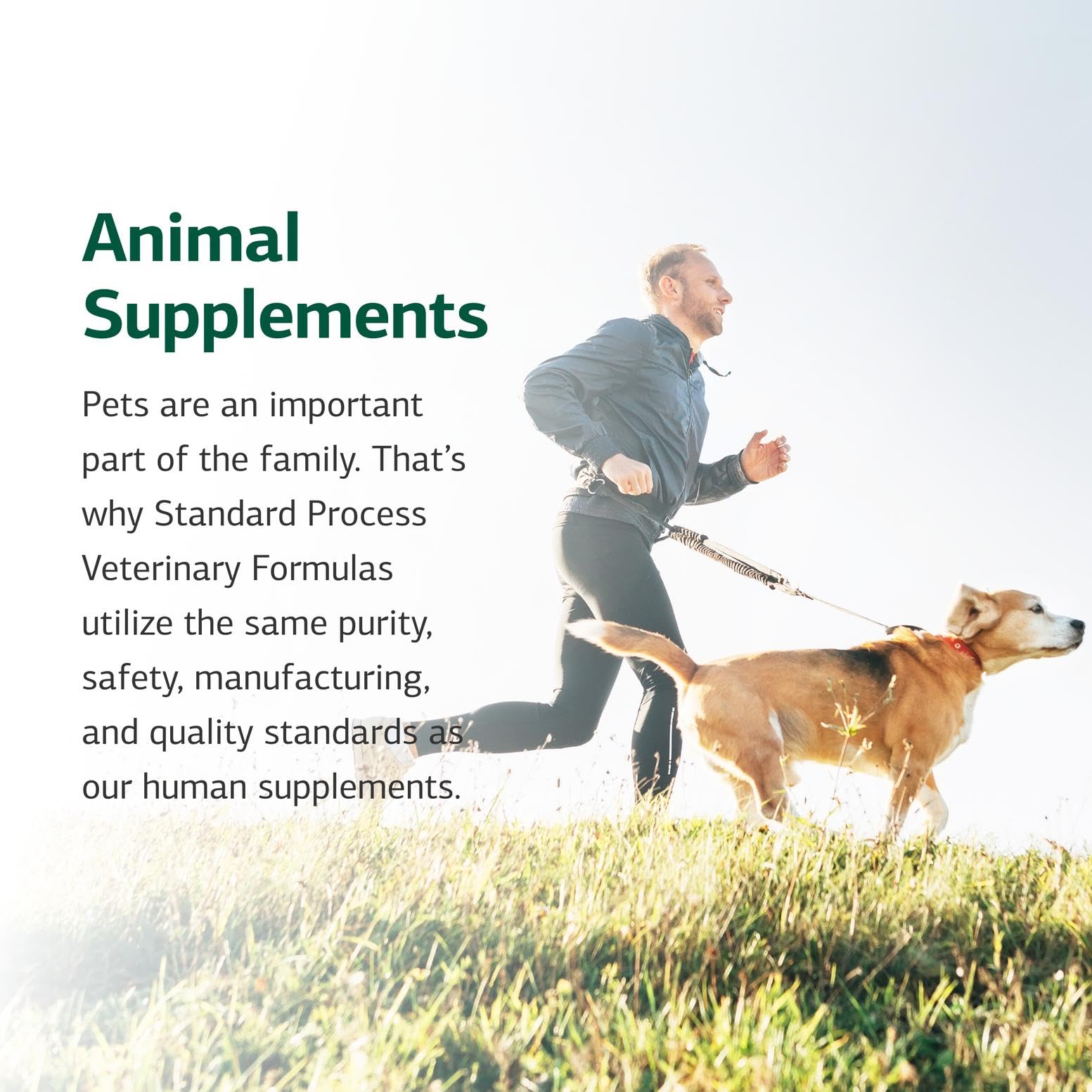 Standard Process Canine Enteric Support – emballage et conditionnement, produit de confiance.