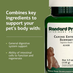 Standard Process Canine Enteric Support – cuillere-grande, dosage adapté pour grands chiens.