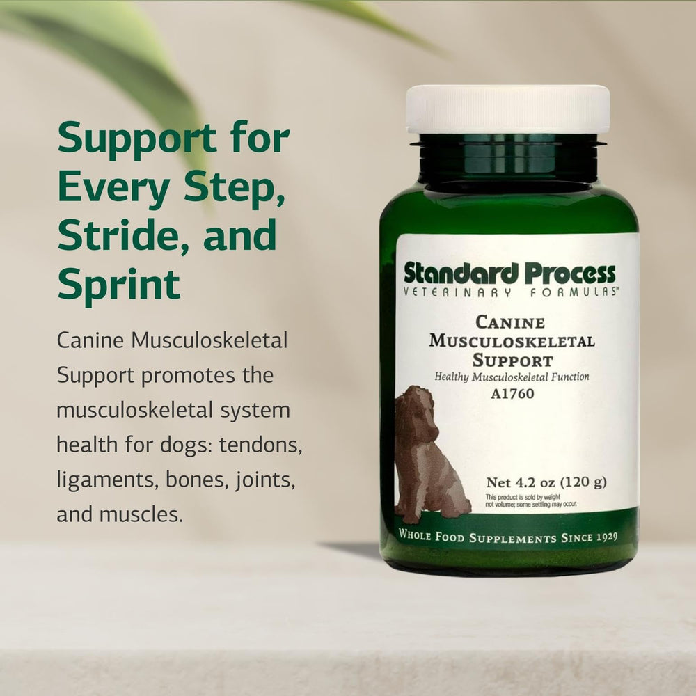 Poudre fine à mélanger dans l’alimentation canine pour le soutien musculo-squelettique.