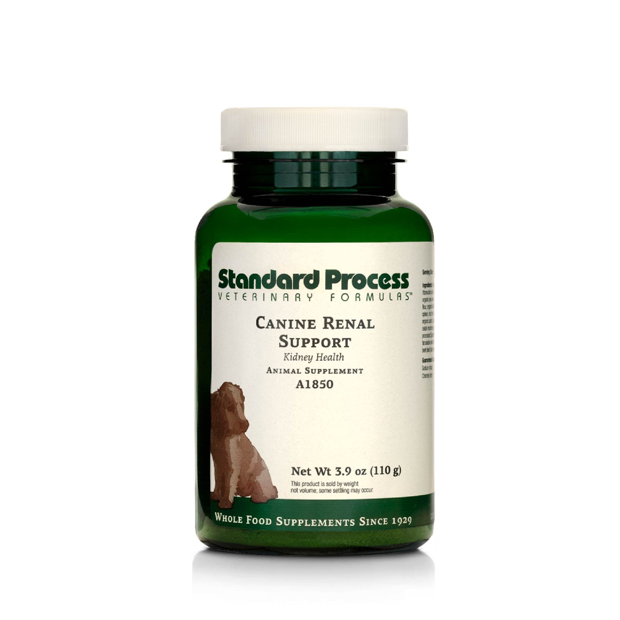 Standard Process Canine Renal Support, bouteille en vedette, soutien rénal potentiel pour chien.