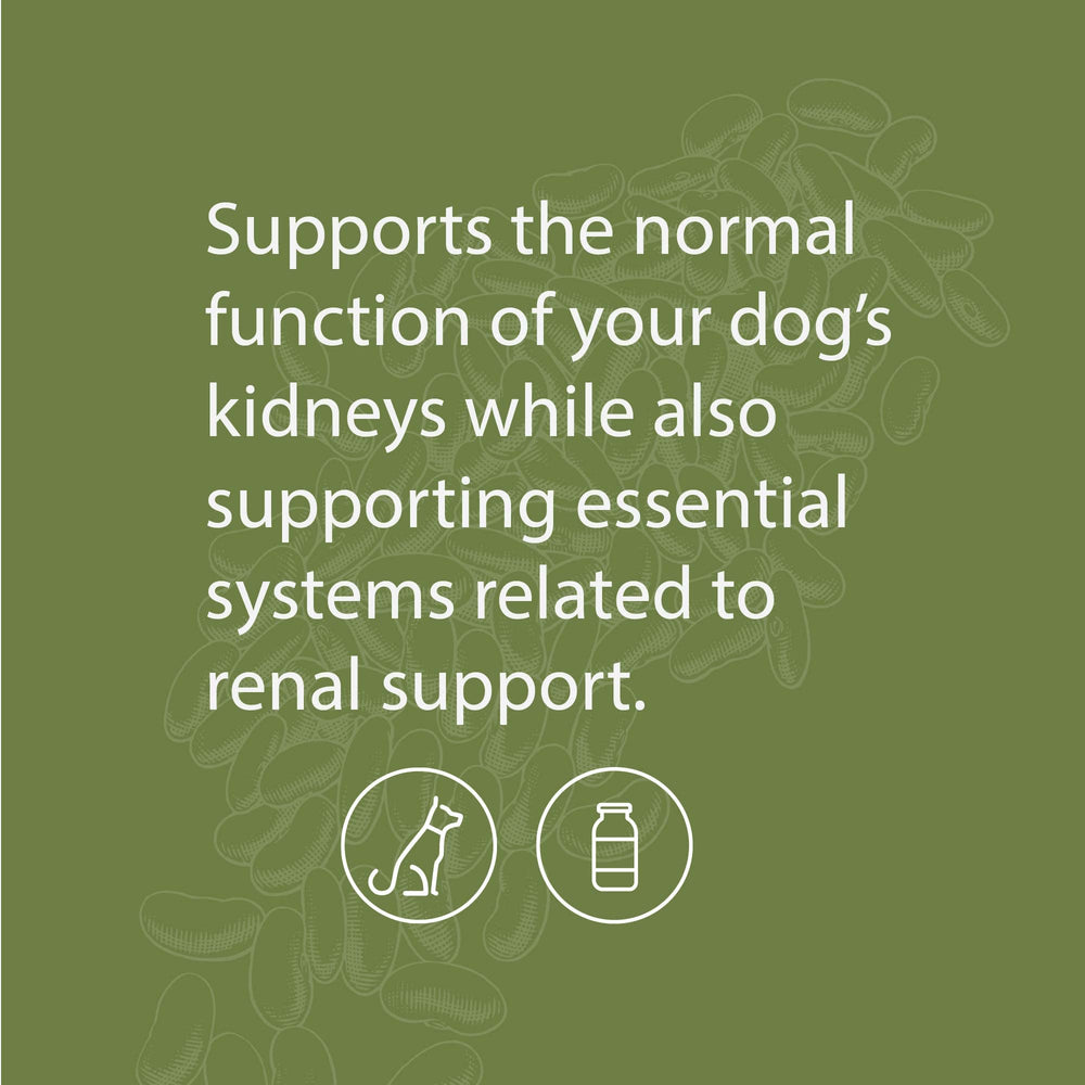 Standard Process Canine Renal Support, dose-cuillère, aide potentielle au fonctionnement rénal quotidien.