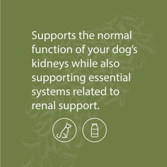 Standard Process Canine Renal Support, dose-cuillère, aide potentielle au fonctionnement rénal quotidien.