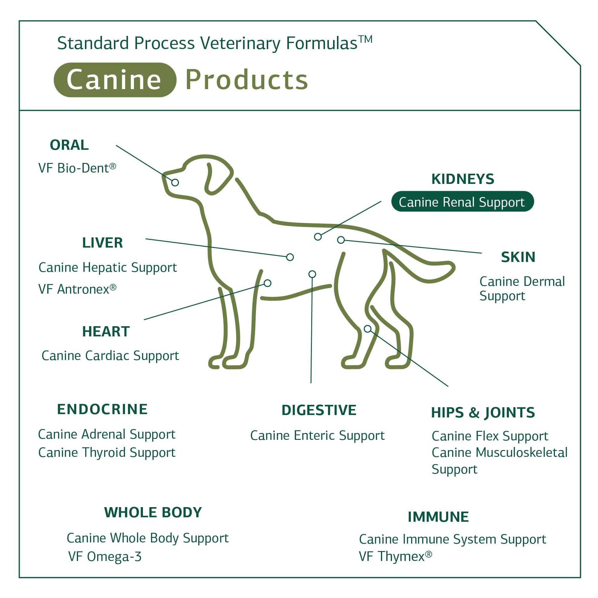 Standard Process Canine Renal Support, tableau de dosage, facilite l’administration selon poids.
