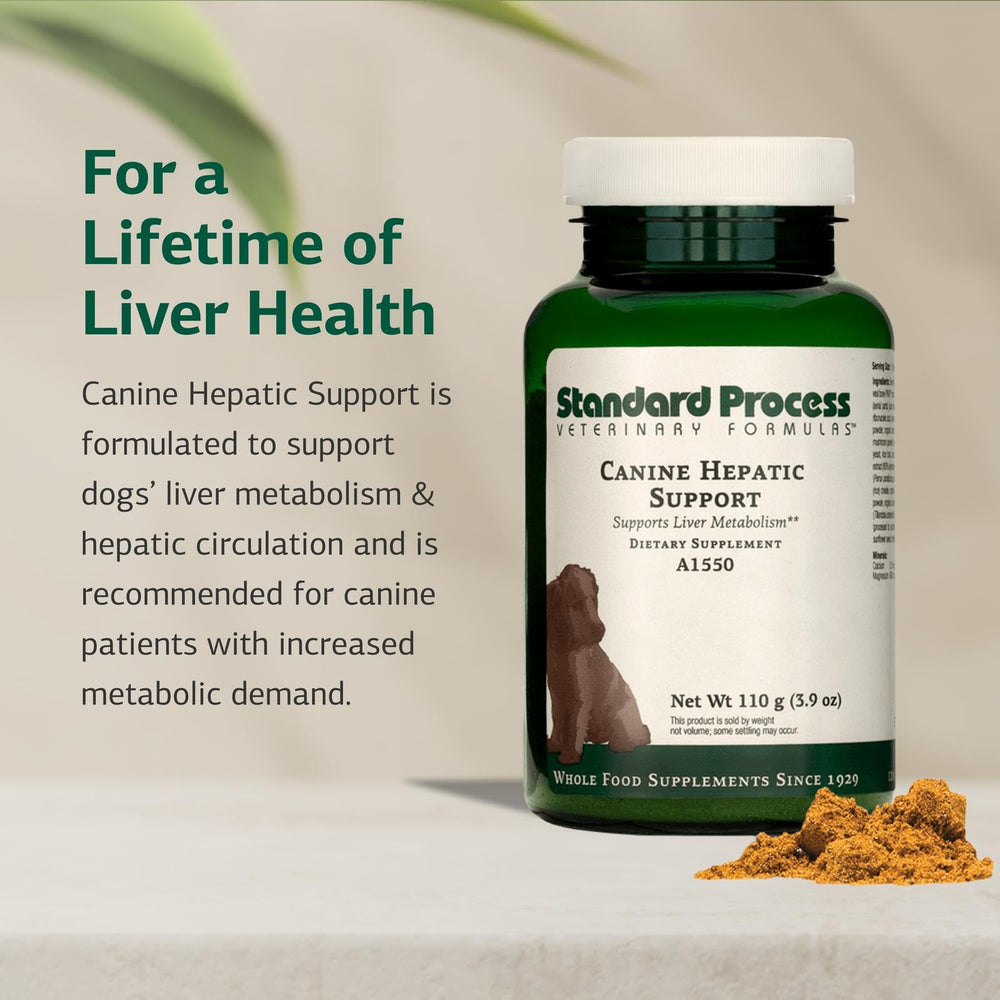Standard Process Chien Hépatique Dose Grande Cuillere: dosage adapté pour chiens de grande taille.