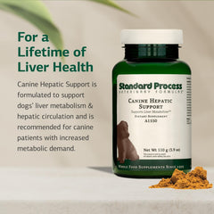 Standard Process Chien Hépatique Dose Grande Cuillere: dosage adapté pour chiens de grande taille.