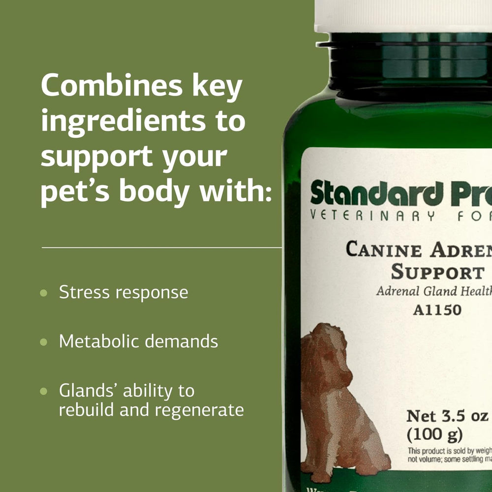 Standard Process Chien Soutien Surrénales Poudre – usage quotidien simple et mesuré