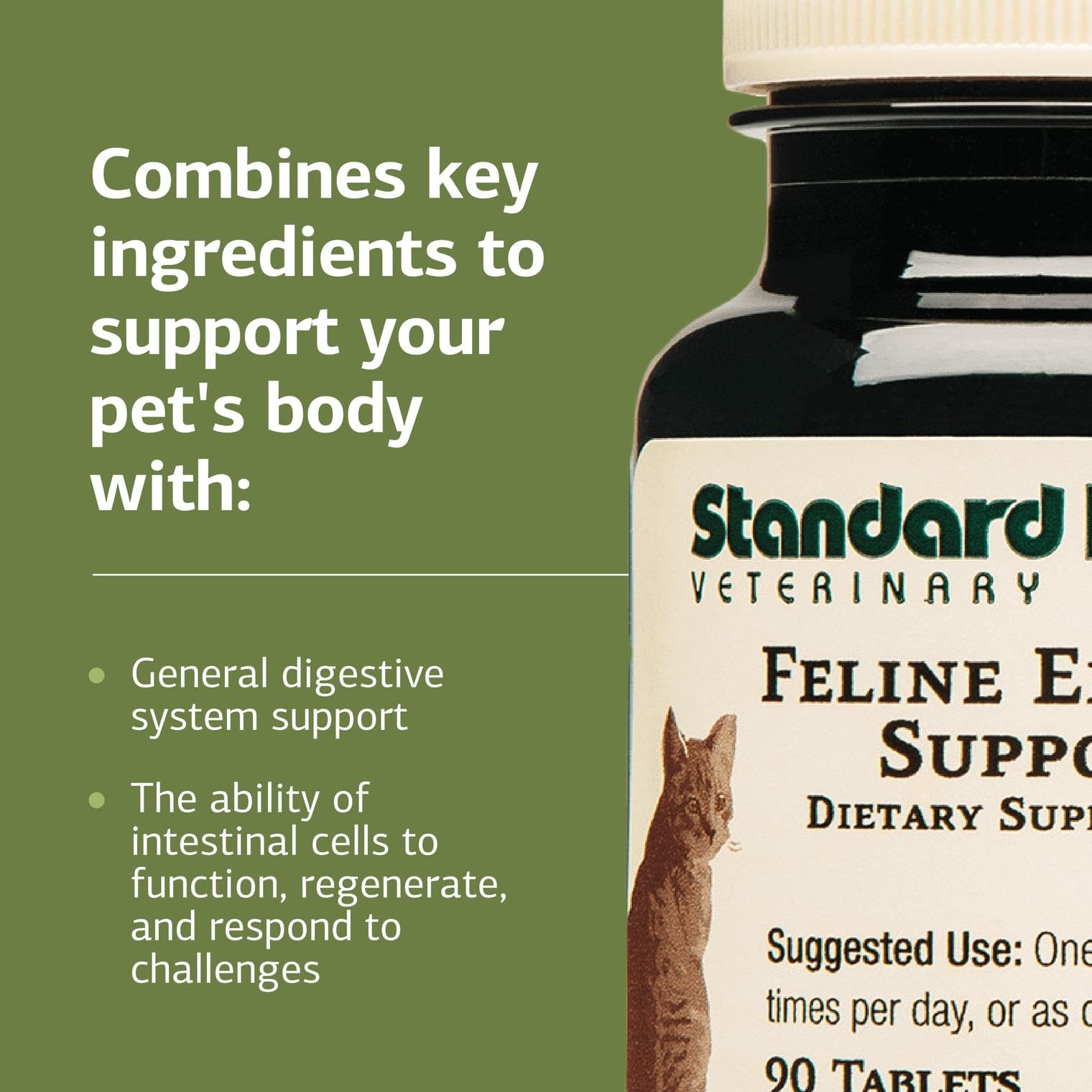Standard Process: comprimé entrique félin, dosage quotidien recommandé.
