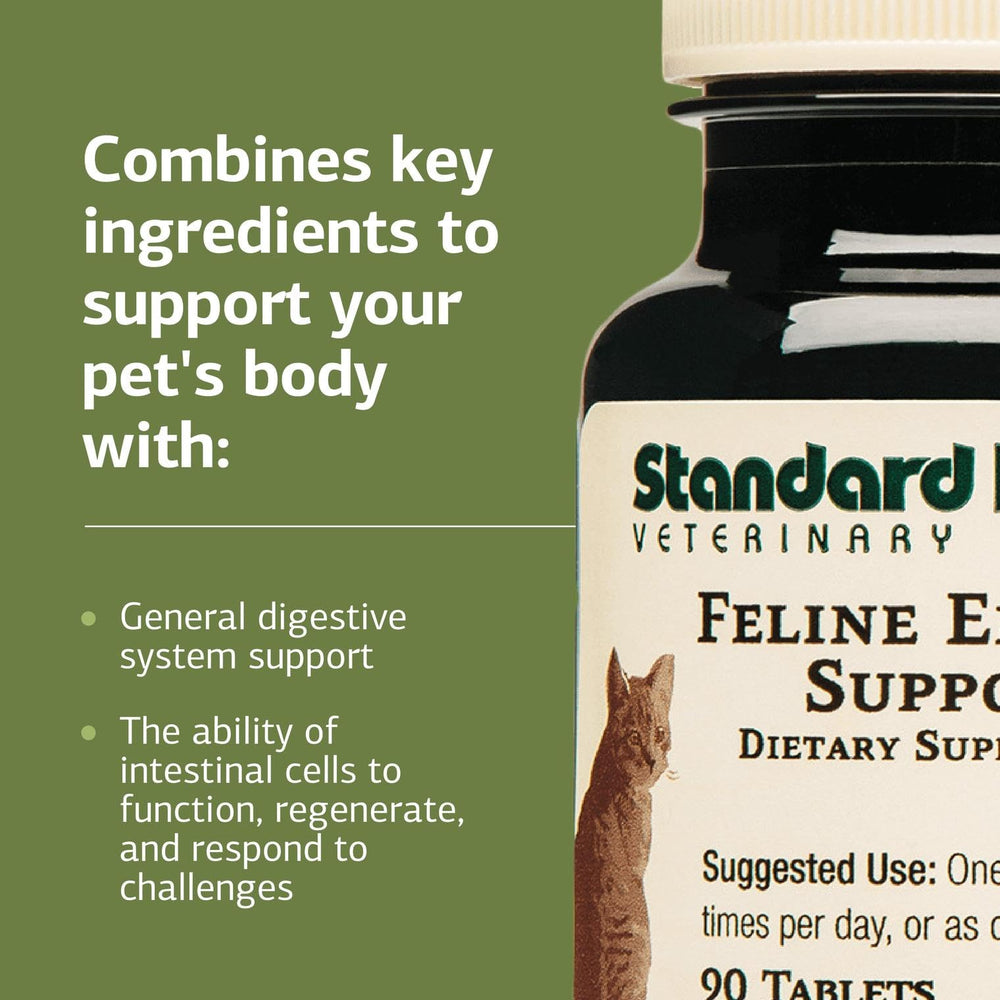 Standard Process: comprimé entrique félin, dosage quotidien recommandé.