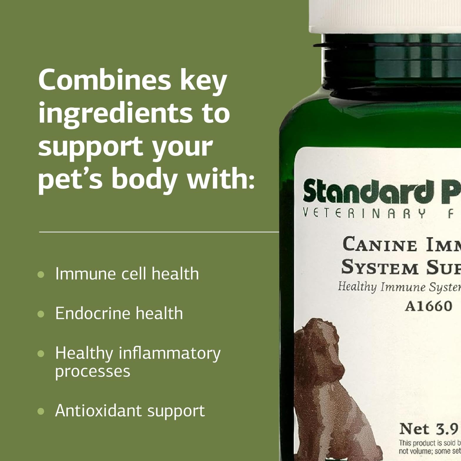 Standard Process Doseur 1/8 Cuillère : dosage précis pour petites bouteilles