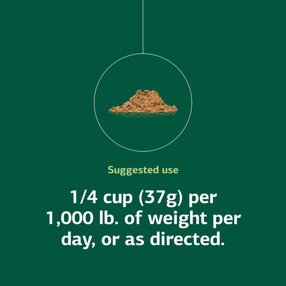 Standard Process – nutrition à base de plantes entières pour le bien-être du cheval.