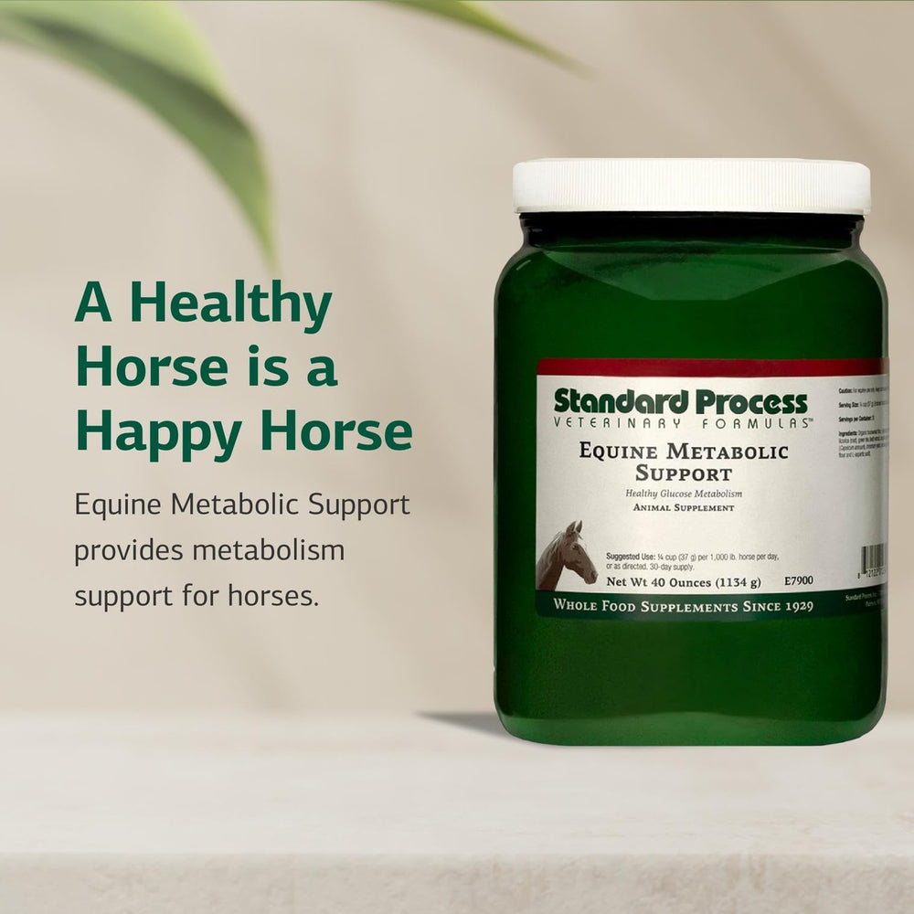 Standard Process – poivre de Cayenne dans la formule métabolique équine.