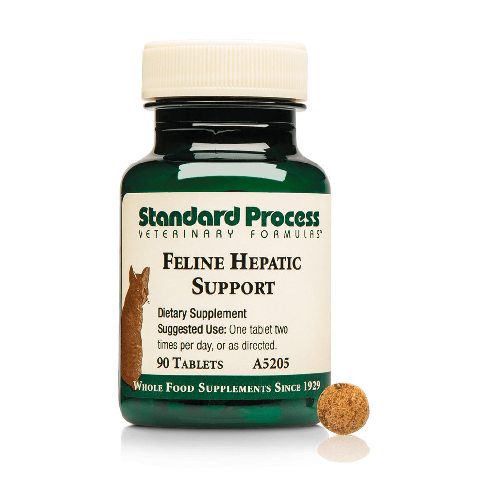 Standard Process Feline Hepatic Support, bouteille de comprimés, soutien hépatique potentiel pour chats