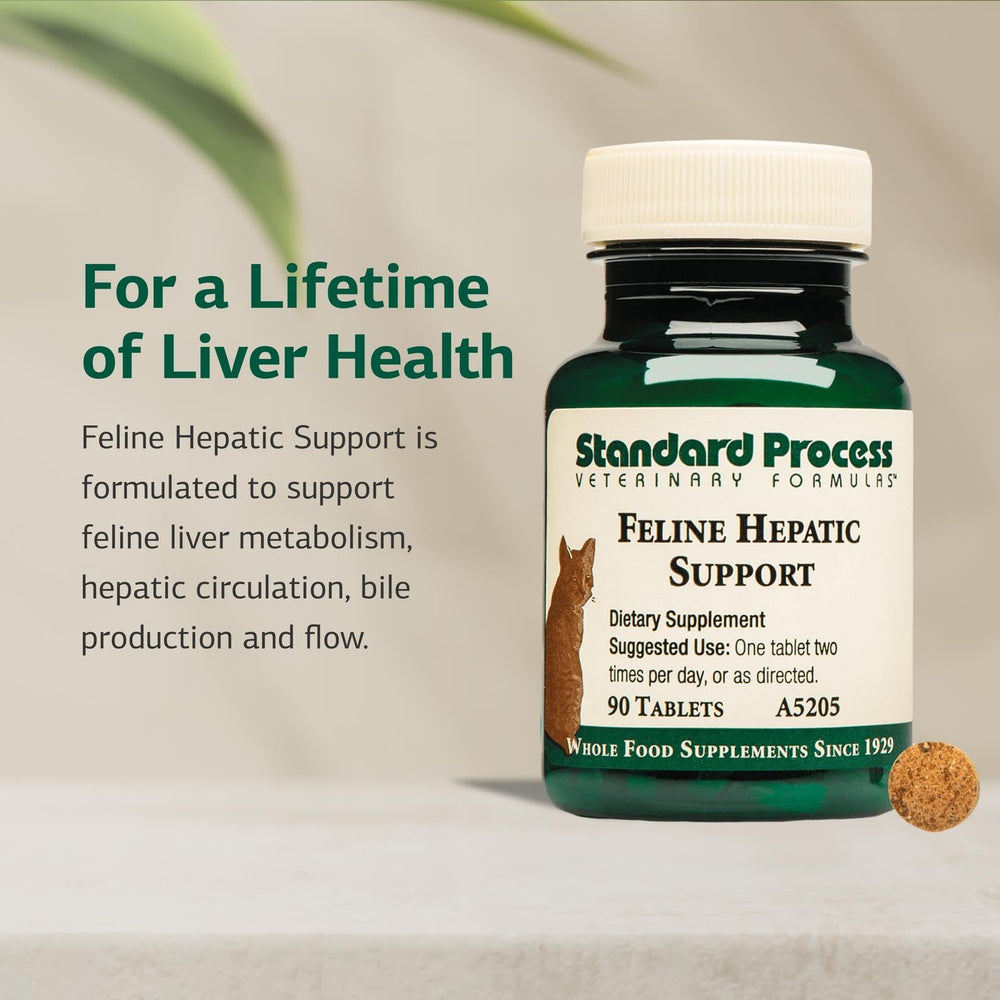 Tablettes Standard Process Feline Hepatic Support, prise quotidienne simple pour favoriser la circulation et le métabolisme