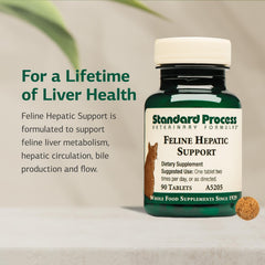 Tablettes Standard Process Feline Hepatic Support, prise quotidienne simple pour favoriser la circulation et le métabolisme