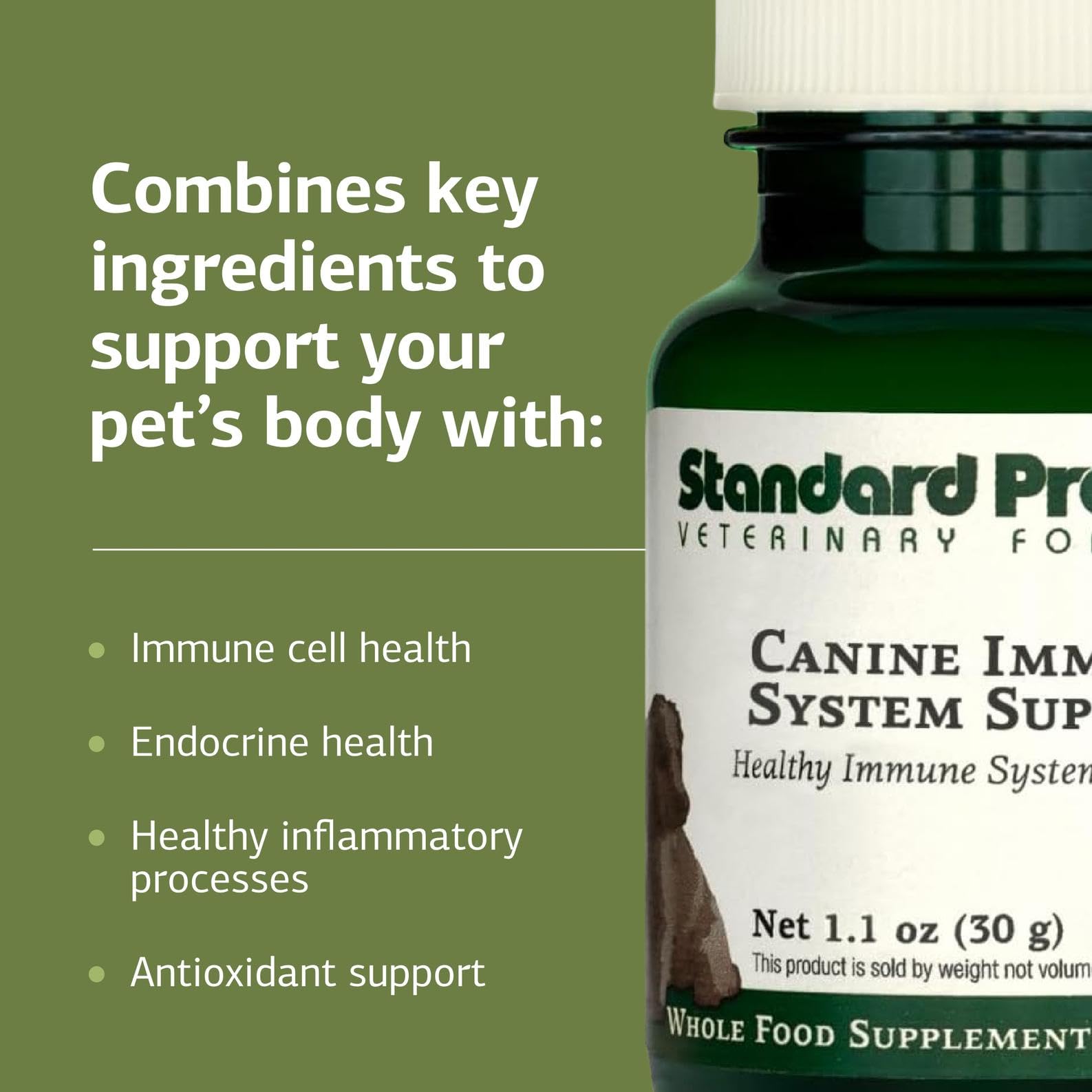 Standard Process immunité canine – ingrédients zinc et varech visibles pour soutenir la santé générale.