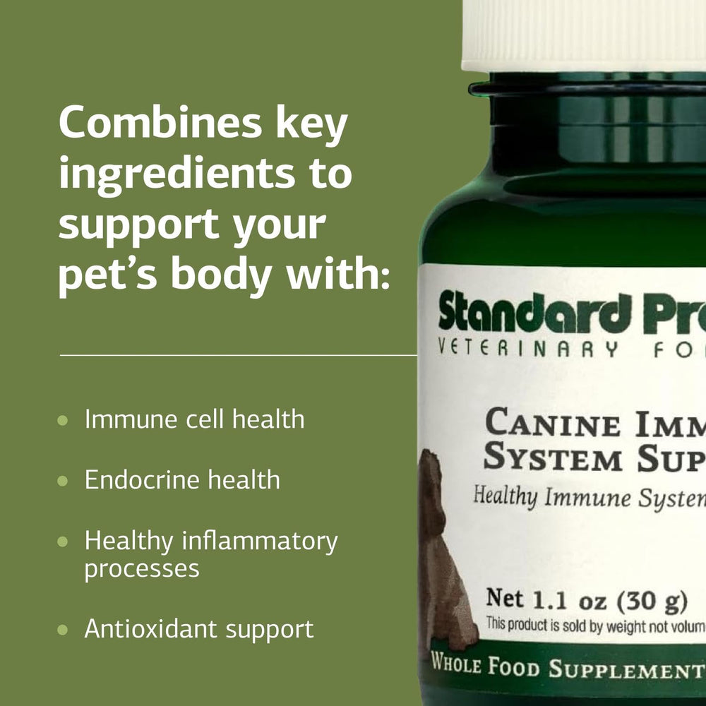 Standard Process immunité canine – ingrédients zinc et varech visibles pour soutenir la santé générale.