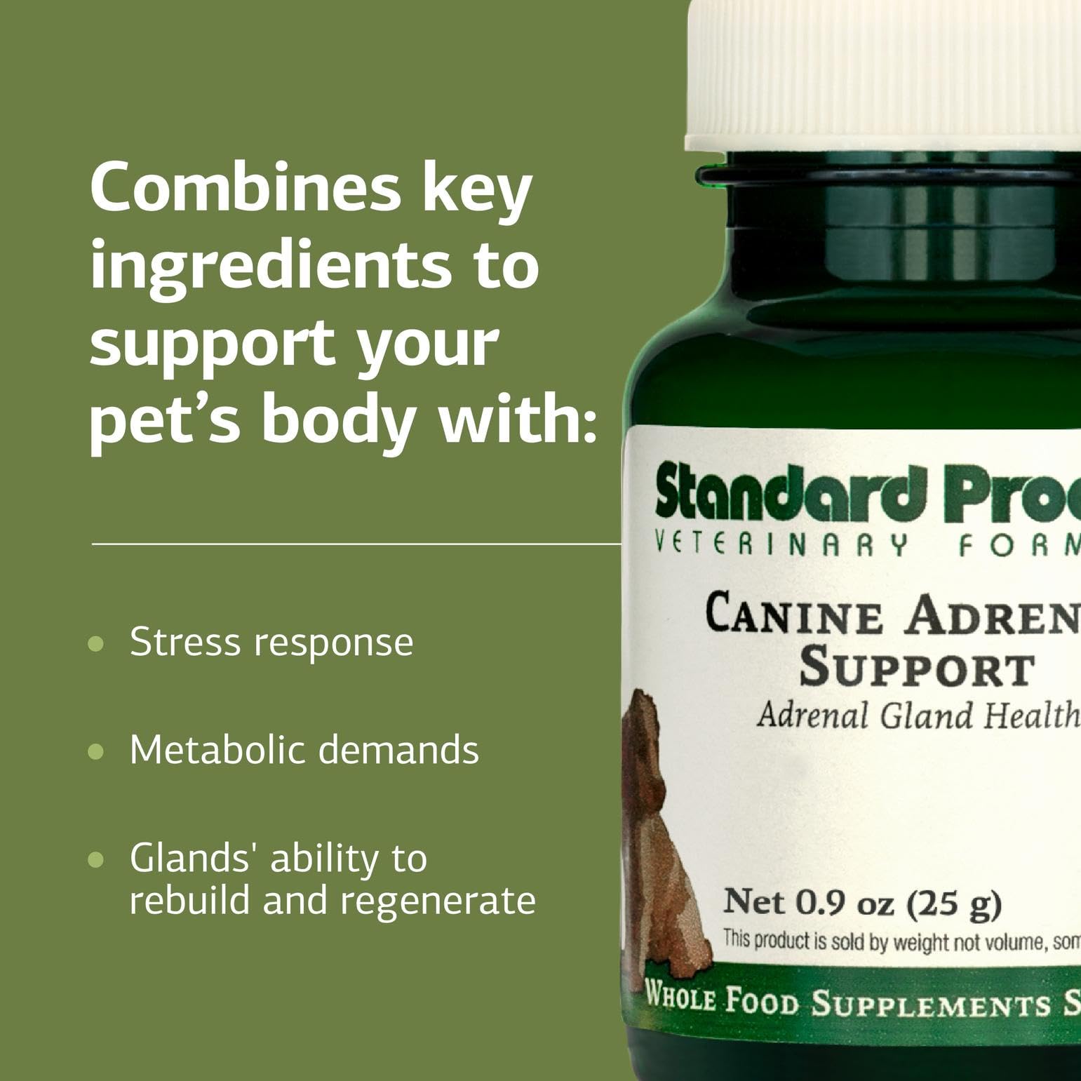 Standard Process Inc. – étiquette claire sur la bouteille pour référence et traçabilité.