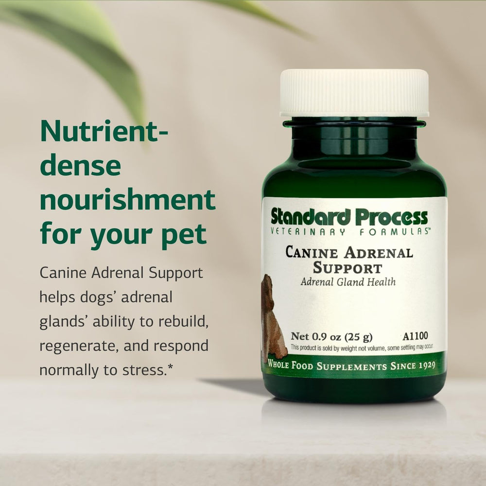 Standard Process Inc. – doseur et bouchon visibles pour dosage adapté au poids du chien.