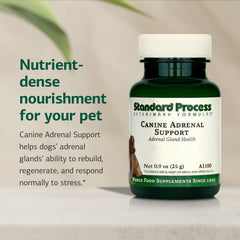 Standard Process Inc. – doseur et bouchon visibles pour dosage adapté au poids du chien.