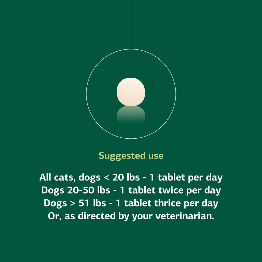 Standard Process Antronex – dosage adapté selon la taille de l’animal.