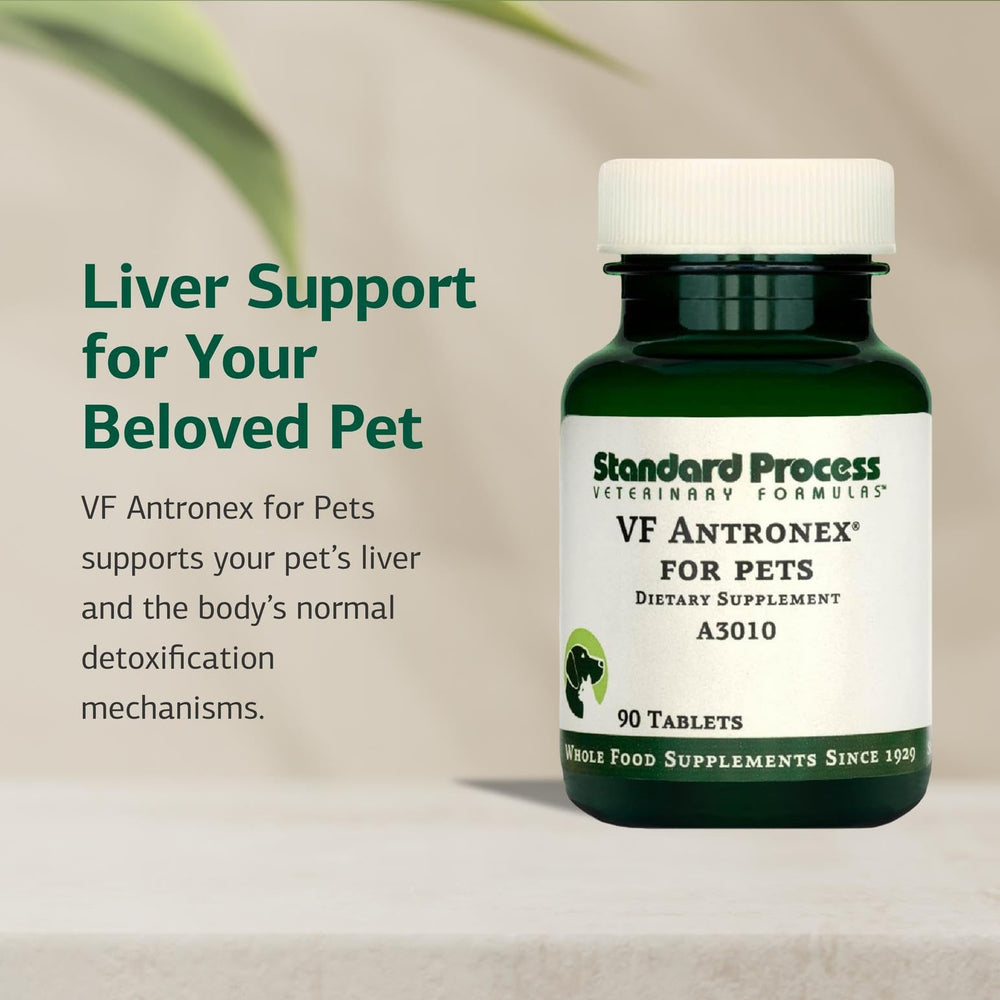 Standard Process Antronex – équilibre de l’histamine pour chiens et chats.