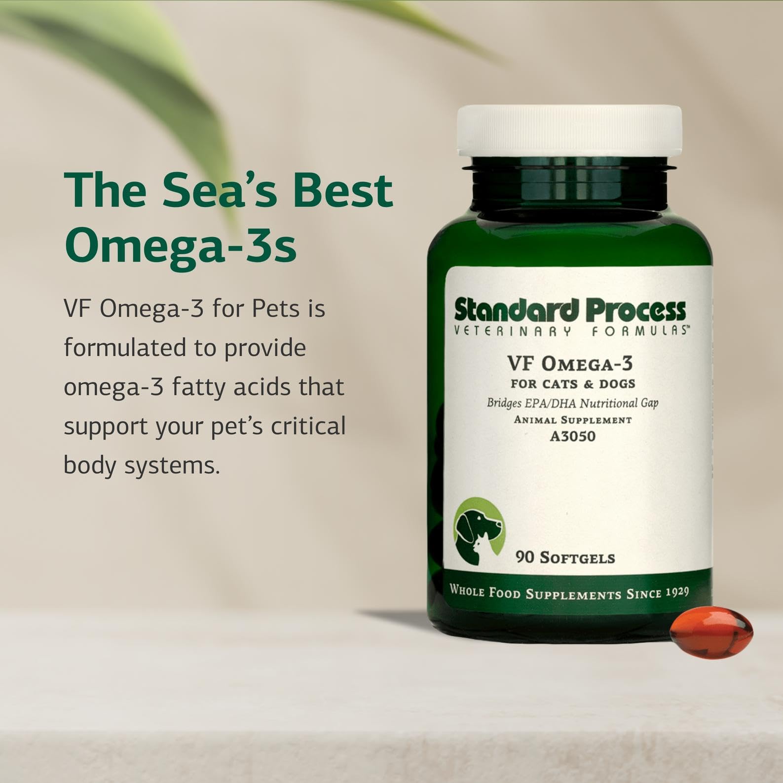 Standard Process VF Omega-3 pour animaux, huile anchovy-sardine, source naturelle d'oméga pour le quotidien