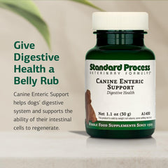 Standard Process Soutien entérique canin, doseur 1/2 cuillère pour dosage adapté.