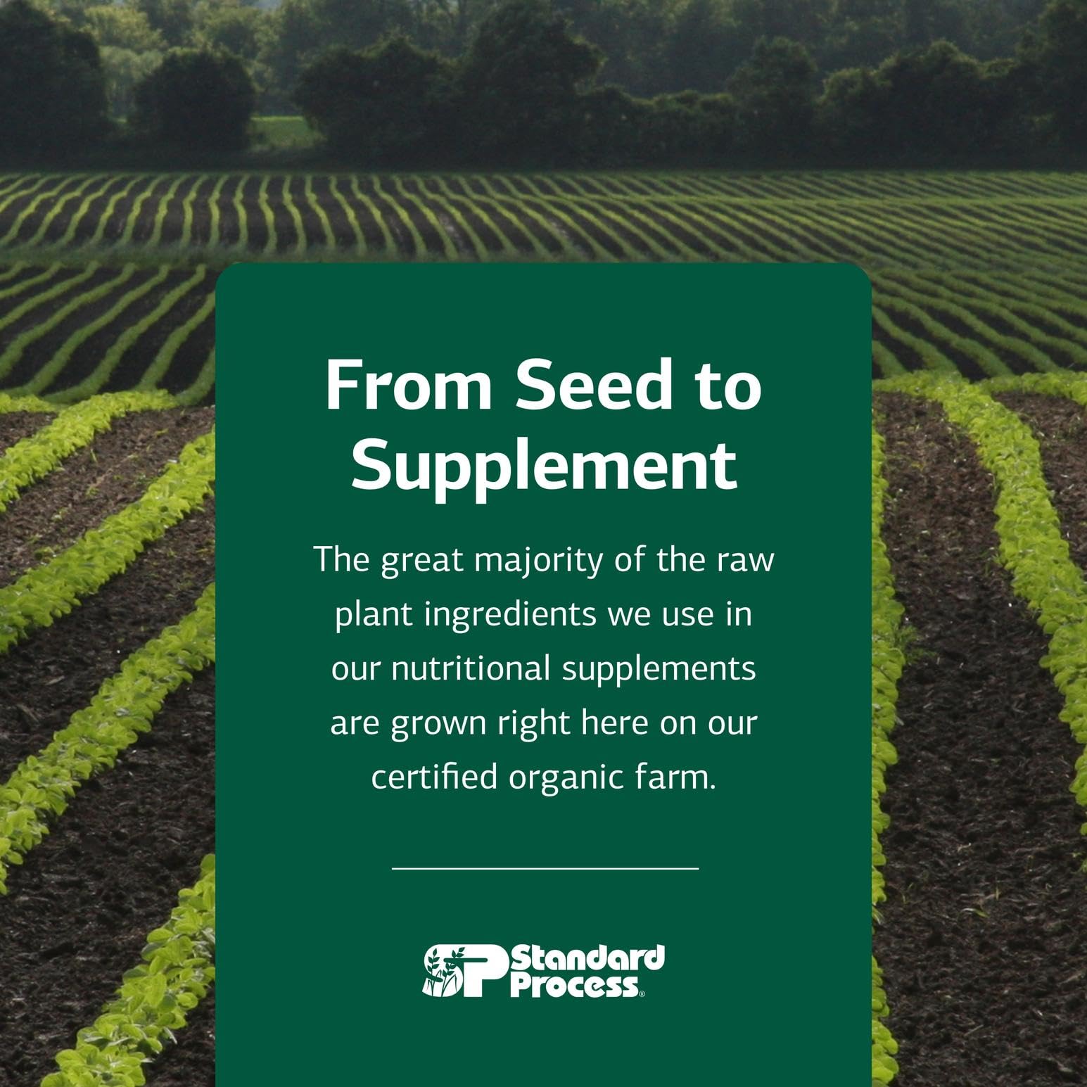 Standard Process: soutien entrique félin, nutriments d origine alimentaire pour le système digestif.
