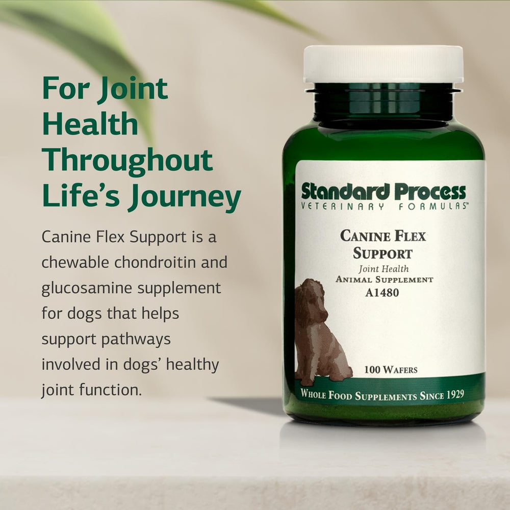 Gaufrettes Standard Process Soutien Flex Canin, texture appétente.