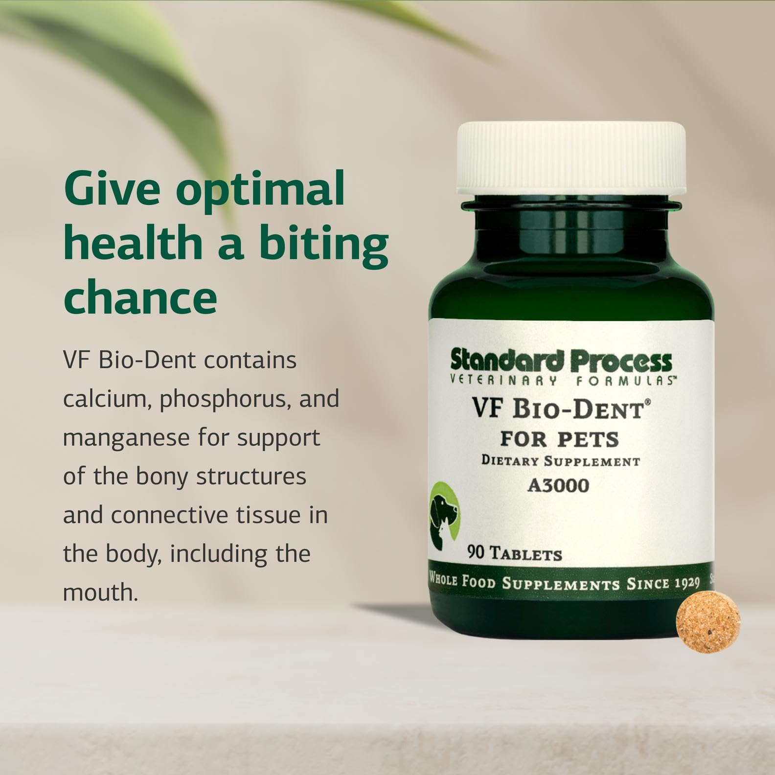 Standard Process VF Bio-Dent : comprimés chien, soutien possible à la croissance osseuse.